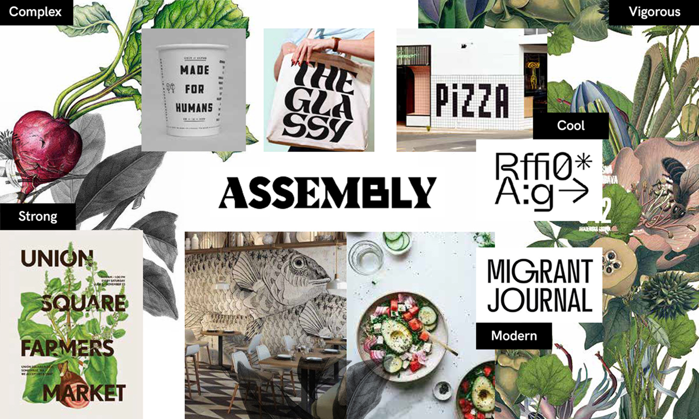 Marko Design Direction 7